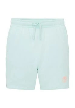 Tom Tailor Shorts - Light Aqua