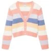 Tom Tailor Vest - Bold Multicolor Stripe