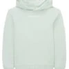 Tom Tailor Mit Print - Hoodie - Vintage Mint -Fusion 210dcaeec3884cda883a02dbe01d1740
