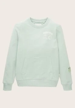 Tom Tailor Mit Print - Sweater - Vintage Mint 17 Tom Tailor Mit Print - Sweater - Vintage Mint -Fusion 530330177ebd45ef9be0b42764dd9aed