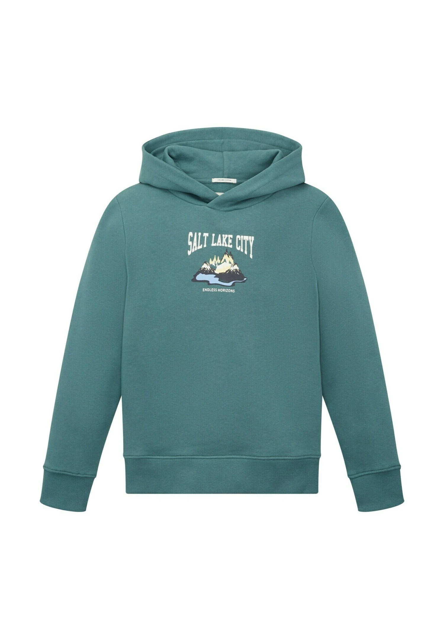 Tom Tailor Mit Print - Hoodie - Sea Pine Green 3 Tom Tailor Mit Print - Hoodie - Sea Pine Green
