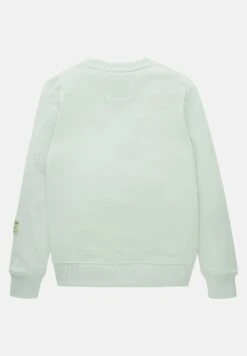 Tom Tailor Mit Print - Sweater - Vintage Mint 15 Tom Tailor Mit Print - Sweater - Vintage Mint -Fusion 770375b75f944bf4825a33e0843853ac