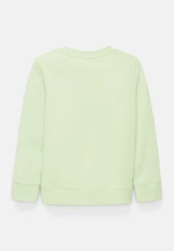 Tom Tailor Mit Motiv-Print - Sweater - Fresh Apple Lime Green -Fusion 813e43f1f2af435885dc302bf0a4c6dd