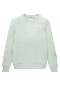 Tom Tailor Mit Print - Sweater - Vintage Mint