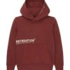 Tom Tailor Hoodie - Soft Burnt Red -Fusion 9c1cd8a8e617462b81f56e2aa497e86e