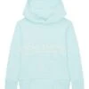 Tom Tailor Textprint  - Hoodie - Light Water Blue