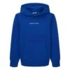 Tom Tailor Mit Logo - Hoodie - Shiny Royal Blue -Fusion c02d787f2dc84eaca3ca561cbe96790a