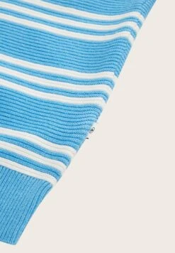 Tom Tailor Gestreifter - Trui - Blue Off White Knit Stripe -Fusion c428fde64d864b7c84beef6997a372aa