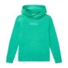 Tom Tailor Mit Logo Print  - Hoodie - Holly Green -Fusion ce605626a1a84db4aa1d3bd303b7322f