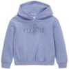 Tom Tailor Oversized- Hoodie - Calm Lavender